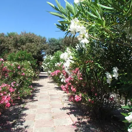 Happy Camp Mobile Homes In Village Baia Paradiso * Badesi